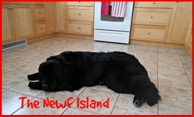 Newf Island