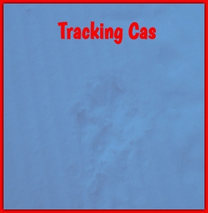 Tracking Cas.jpg